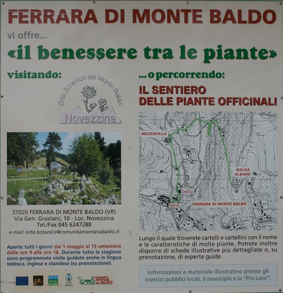 Monte Baldo_15.JPG